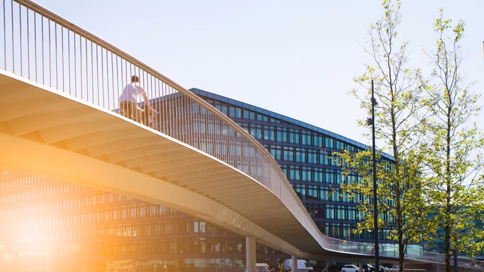M1 products